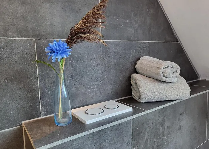 公寓 3 In Der Waldstrasse